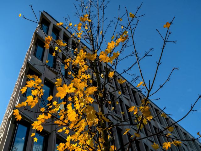 Jesień zmian dla polskich firm