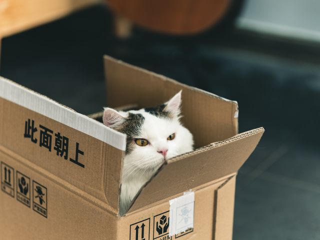 Pakiet VAT e-commerce z podpisem prezydenta Andrzeja Dudy